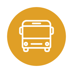  16% IMPROVE PUBLIC TRANSPORTATION (including better connection to the mainland, buses, etc.) 